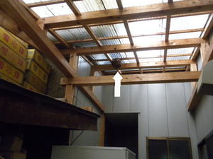 コガタスズメバチの巣が住居奥の天井に(福島県東白川郡、2010年9月中旬).jpg